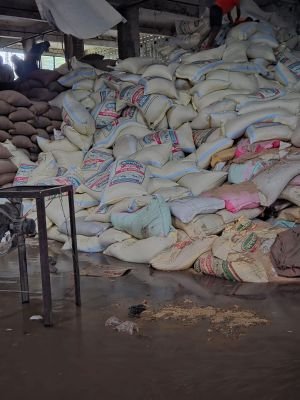 Water Damaged Stock of Aata, Maida, Choker, Wheat and other items